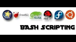 How to write a shell script in Linux.