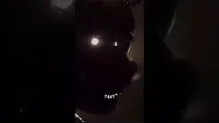 Spring trap edit 