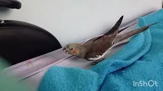ищет углы