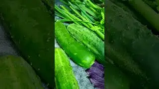 ДАРЫ ЛЕТА! Июнь Волгоград, Собираем первый урожай