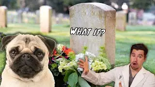 What if you Die?  What will happen to your dog or cat?