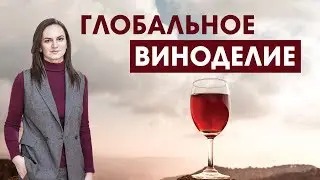 Глобальное виноделие. Ольга Бабанская. Starshine Logistics School 0+