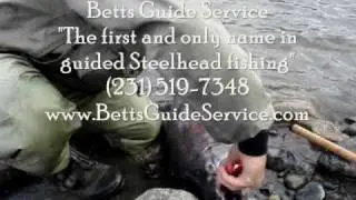 Muskegon River Salmon | Salmon Fishing | Michigan, Alaska