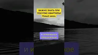 Важно знать при покупке квартиры. Новый закон. #жкх #недвижимость #россия #юрист