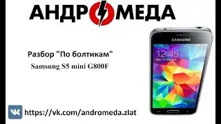 Разбор "По Болтикам" Samsung S5 mini G800F