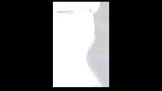 Anomaly Song
