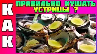Как правильно есть Устрицы. Как едят свежие устрицы. Цена устриц на Шри Ланке.