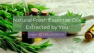 NATURAL FLAVOR and AROMA