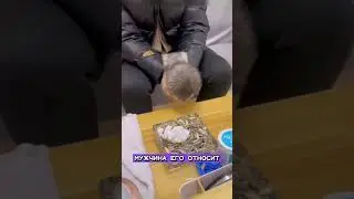 Комочек счастья! #милыйкотик #котенок #pivonews