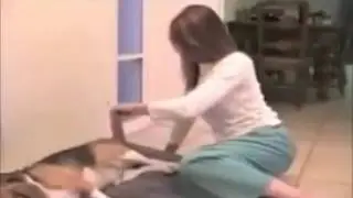 собачка