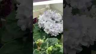 Обзорчики 21.04 ч.6