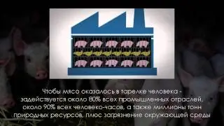 Фильм 'Мясоедение   это КАННИБАЛИЗМ'