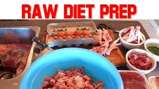 Dog Raw Diet Preparation - Time Lapse