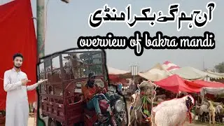 Today we are going to bakra(goat) mandi(2023) #goat #bakramandi #eid #viral #youtube #vlog
