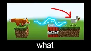 can a fox grab a chicken? hmmmm... Minecraft wait what meme part 5