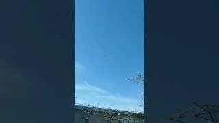 молодёжь начинает.. 1