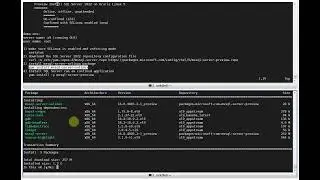 Install SQL Server 2022 on Oracle Linux 9 (Preview)