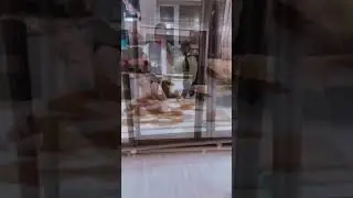 Мама сына 🤎 Моё сердечко