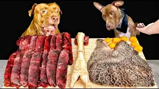 Best ASMR Dog In The World