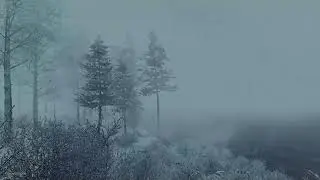 Freezing Blizzard Sounds for Sleeping at Lake┇Strong Snowstorm Sounds &  Loud Blowing Snow