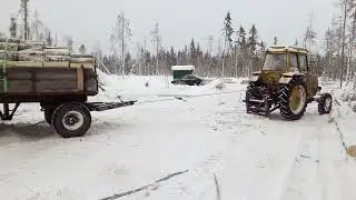 Лтз 60АВ