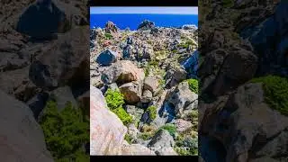 Untitled video