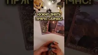 НУЖНО ЗНАТЬ ПРЯМО СЕЙЧАС❗️