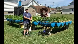 EMT's July 2024 Garden Update