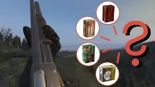 DayZ WHICH AMMO is the best?  A Guide to DayZ Ammo DAMAGE!