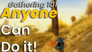 Everything You Need to Know About Gathering | GW2