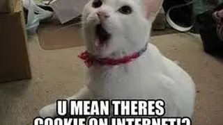How to disable cookies in google chrome