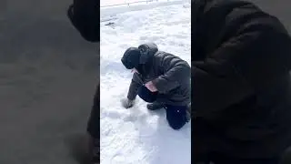 Три Пескаря.