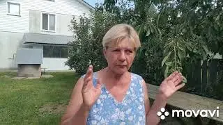ЖИВЕМ В ДЕРЕВНЕ/ БЕЛАРУСЬ./ Последствия УРАГАНА в Гомельской  области.