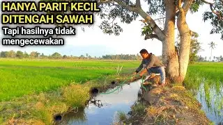 Mancing belut diparit kecil tengah sawah hasilnya tidak mengecewakan