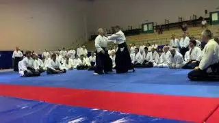 Aikido İnternational Seminer