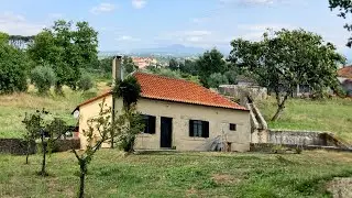 A whole NEW farm with fruit trees for RENT in Portugal