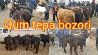 Qum tepa chorva bozori .Aralash va quralash .26,01,2023.