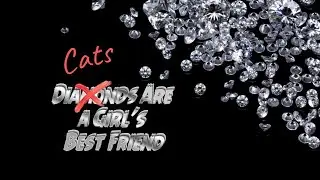 Лучшие друзья девушек это бриллианты? 💍💎🎁 КОТЫ! / Diamonds... or 😸... Are a Girl’s Best Friend ❓❓❓