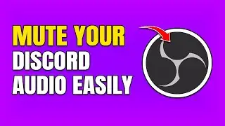 How To Mute Discord Audio in OBS Studio