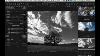 Black and White Tutorial for Capture One 8.1 - E0001