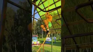 Подъём по канату на руках, как Степанова