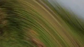 Крушение дельфина / Crash atomrc dolphin
