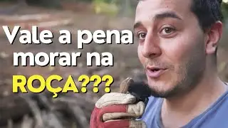 Pros and Cons of Life in the Countryside of Brazil: How Life in the farm Changed My Life