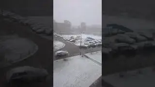А у нас снег ❄ 😥💩🎆😁😂🍑