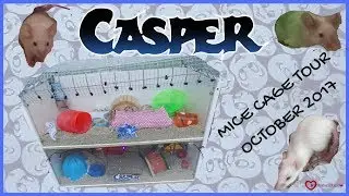 CASPER THE FRIENDLY GHOST MICE CAGE TOUR OCTOBER 2017