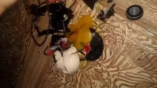 Молоток VS Bloody V3