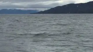 Grandma whale watching