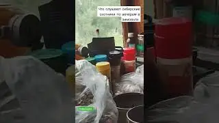 музыка суровых сибирских охотников