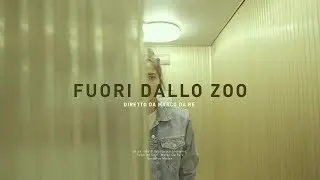 Fuori dallo Zoo [SHORT FILM]