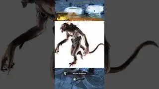 things that make me unreasonably angry in Guild Wars 2 